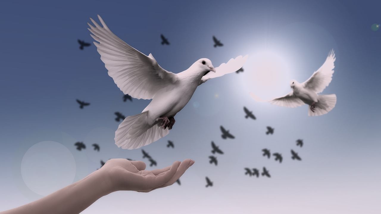 2 peaceful doves flying above a woman's hand.